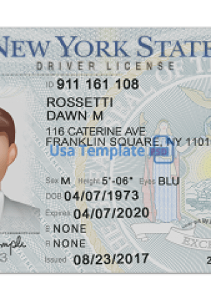 driver's license new york
