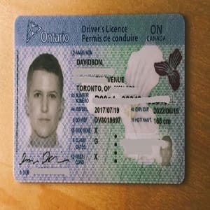 buy Canadian driver's licence, buy fake passport online