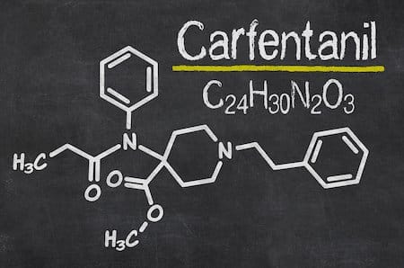 carfentanil powder