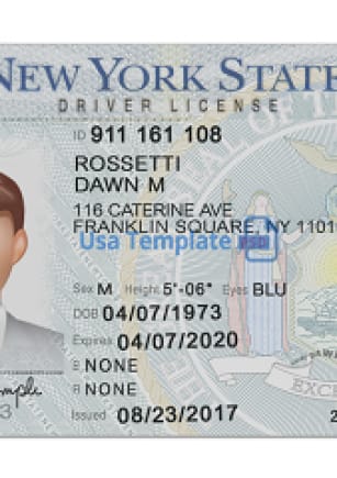 driver's license new york